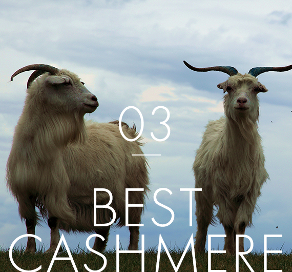 03.best cashimere