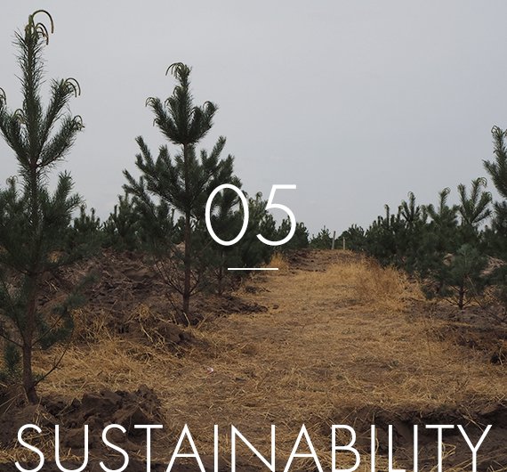 05.sustainability